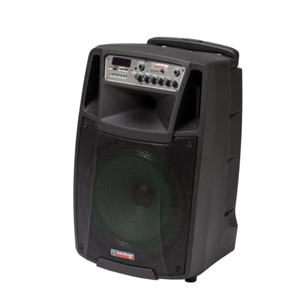 AUDIODESIGN M2 12W/L