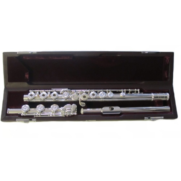 DS-RHEO FLAUTO TRAVERSO