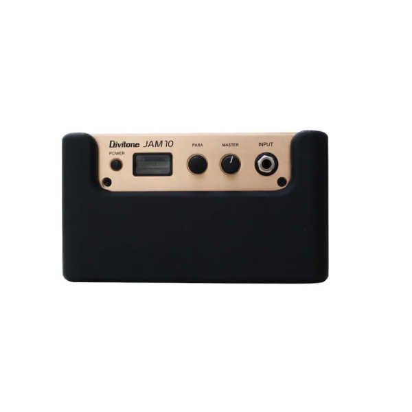 DIVITONE DAM-10BK DIGITAL AMP