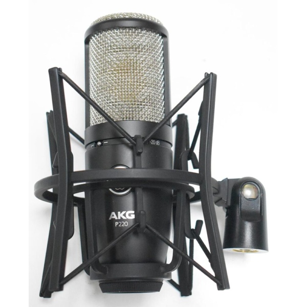 AKG P220 Usato