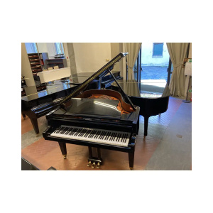 SCHIMMEL 174T *USATO*