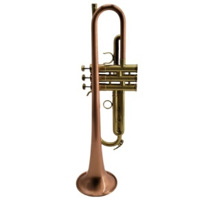 HC2-LBR SPAZZOLATA LACCATA TROMBA