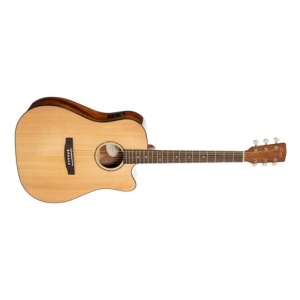 CORT EARTH60CE NAT W/BAG