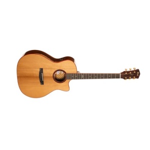 CORT GOLD-A10 COCOBOLO NAT W/CASE