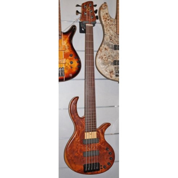 ELRICK EBB05 GOLD EVOLUTION BASS