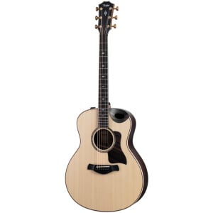 TAYLOR V CLASS BUILDER'S EDITION 816CE NATURAL (V BRACING)