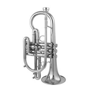 3810CS CUSTOM CORNETTA DO