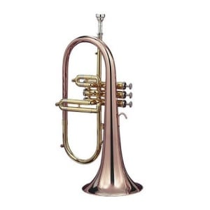 3895GB CUSTOM FLICORNO SOPRANO SIB