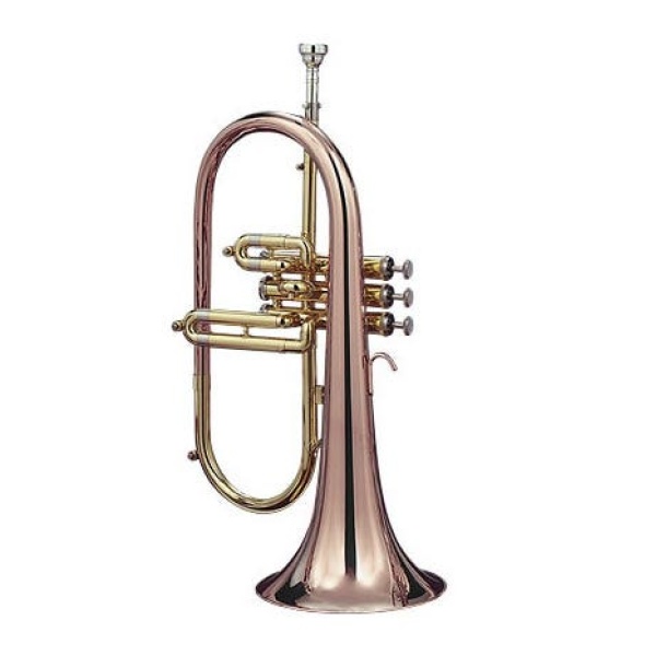 3895GB CUSTOM FLICORNO SOPRANO SIB