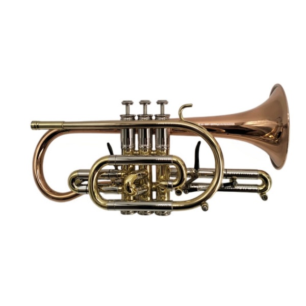 3850 CORNETTA SIB