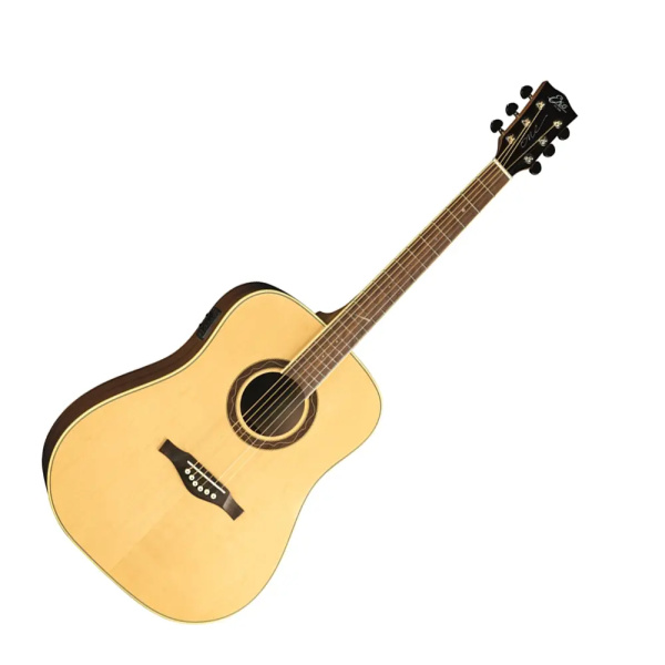 EKO One D150e  Amplificata