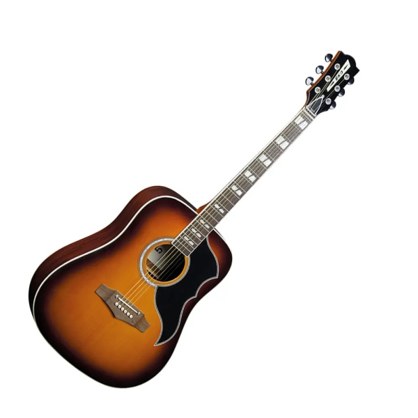 EKO RANGER VI VR Eq Honey burst Amplificata