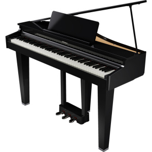 ROLAND GP-3 POLISH EBONY