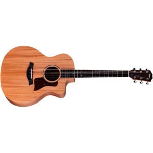 TAYLOR 24CE