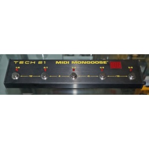 TECH21 MIDI MOONGOOSE