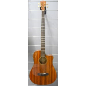Fender Basso Acustico Victor Bailey