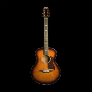 BAN8E VS CHITARRA ACUSTICA MINIJ DENALI