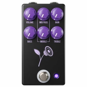 STD LARI BASILIO VIOLET BLACK OVERDRIVE