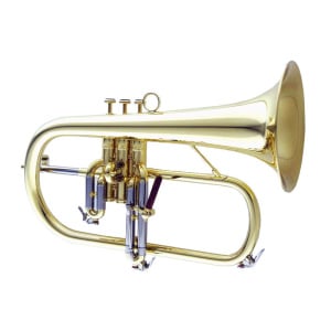 FLICORNO CAROL BRASS CFL6200-YSS-BB-L LACCATO