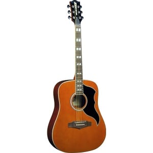 EKO VINTAGE REISSUE RANGER VI EQ NATURAL TOP STAINED