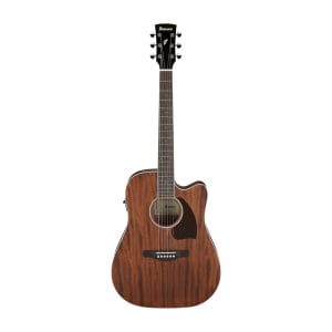 IBANEZ PF SERIES PF16MWCE WEATHERED BLACK OPEN PORE