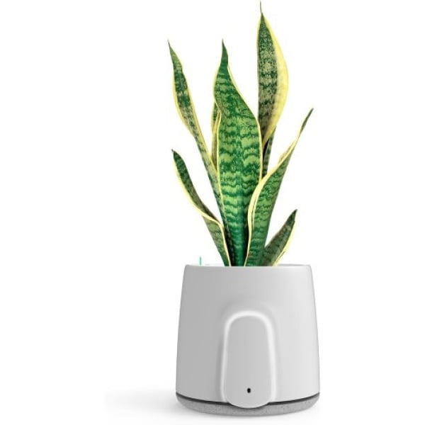 VITESY Vitesy Natede Air Purifiers SMART