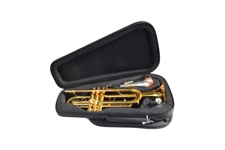 EV-1 METALLIC GOLD CUSTODIA PER TROMBA