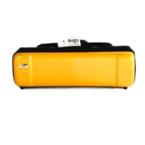 OBLONG METALLIC GOLD CUSTODIA PER TROMBA