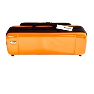 OBLONG METALLIC ORANGE CUSTODIA PER TROMBA