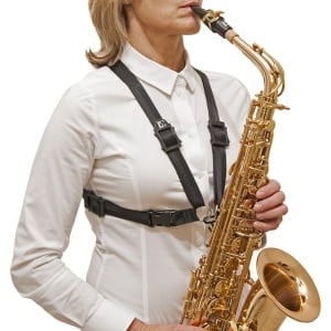 S41M LADY IMBRAGATURA ALTO TENORE BARITONO