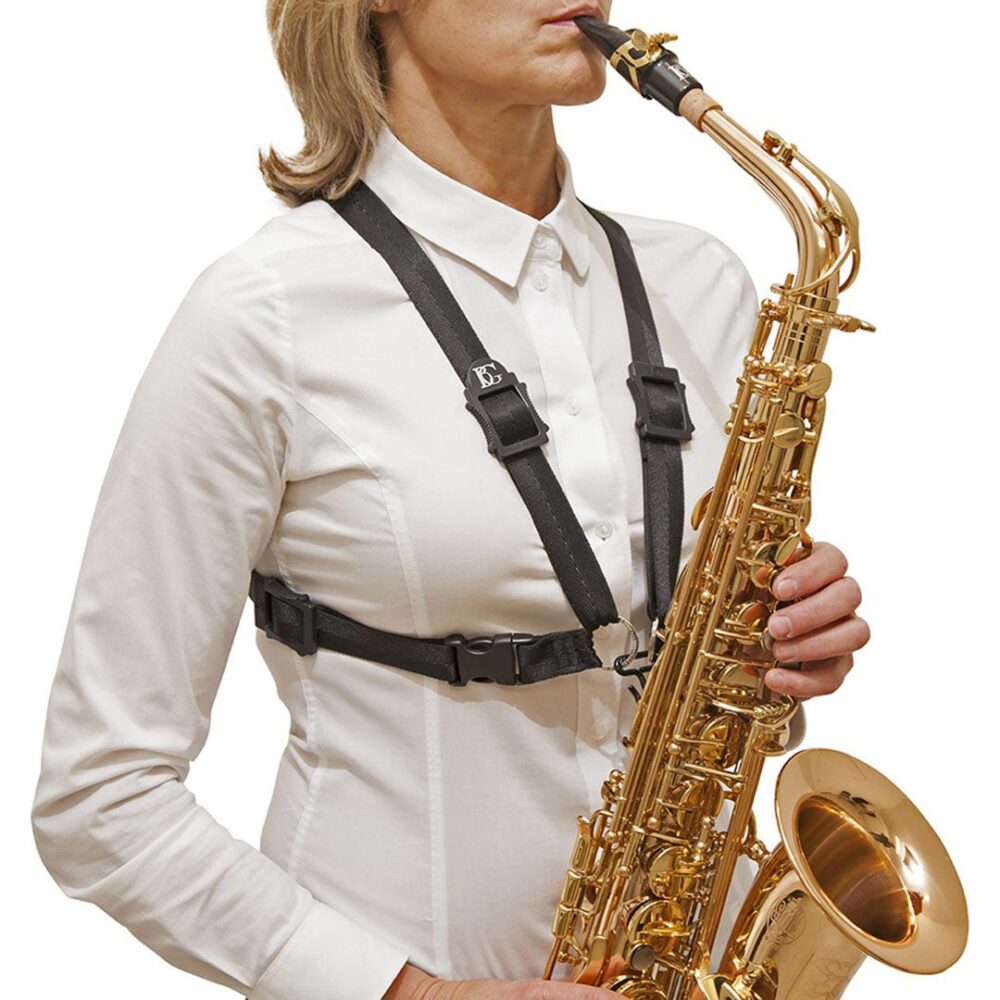 S41M LADY IMBRAGATURA ALTO TENORE BARITONO