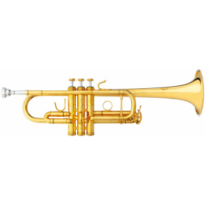 B&S CHALLENGER II 3136TC-1-0W LACQUER DO