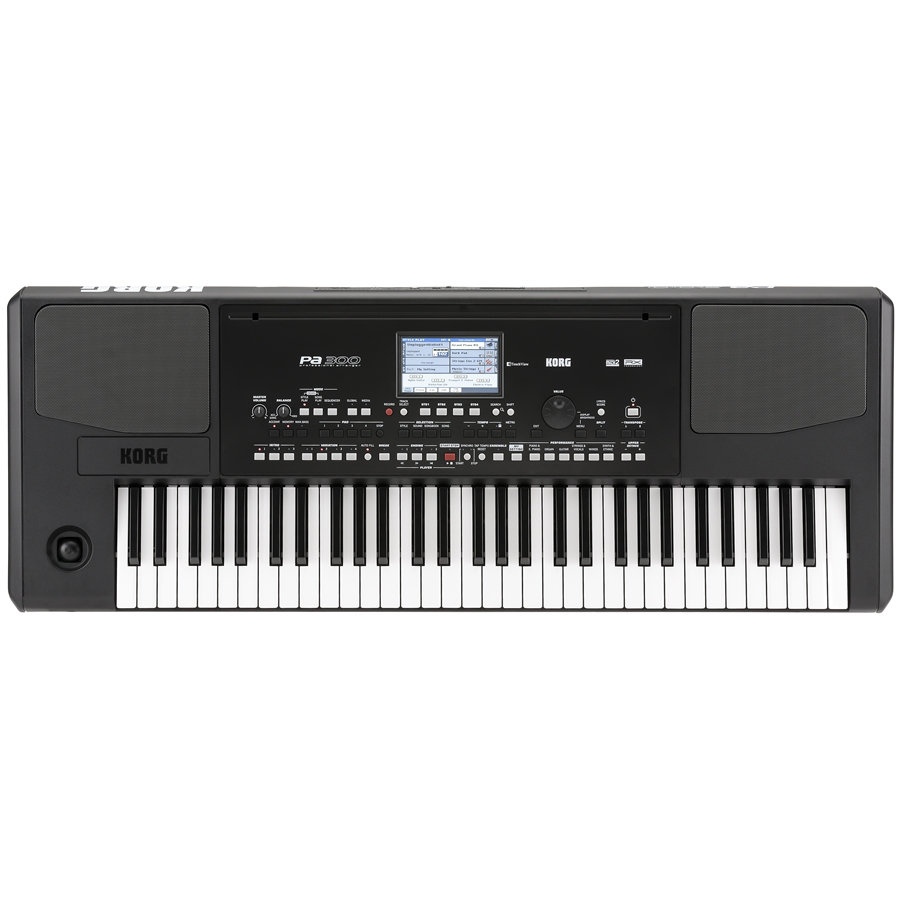 KORG PA300