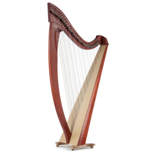 Salvi Arpa Titan Ciliegio