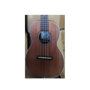 LAX UK329S-CE Concerto Amplificato