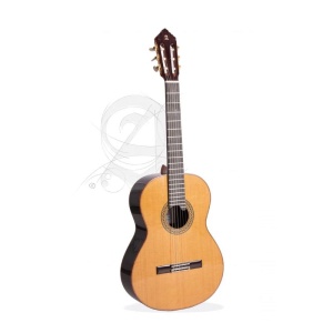 Alhambra 1C HTA 4/4 Top in abete con borsa