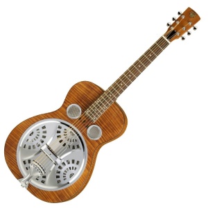 Epiphone Dobro Hound Dog Deluxe