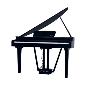 E-CHORD GP10B Pianoforte digitale Codino 88 Tasti Pesati Black