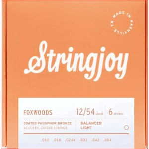 STRINGJOY 12-54 FOXWOODS CHITARRA ACUSTICA COATED PHOSPHOR CORDE