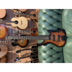 usato Ibanez EHB 1505 con borsa